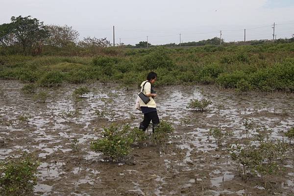 109年學甲溼地生態導覽解說員訓練_201116_17.jpg