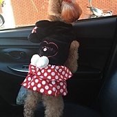 S__6127997.jpg