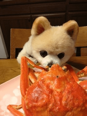 饞