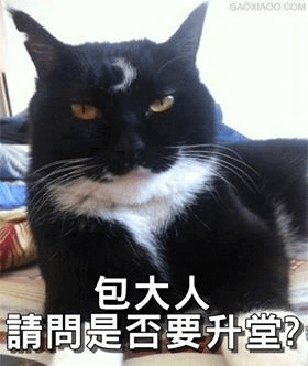 包大