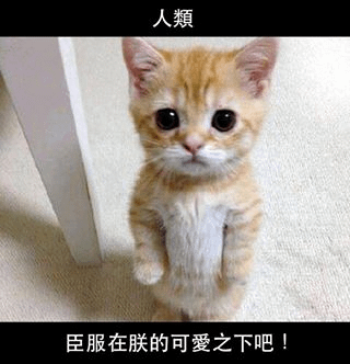 萌