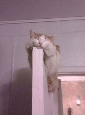 又