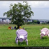 IMGP0528