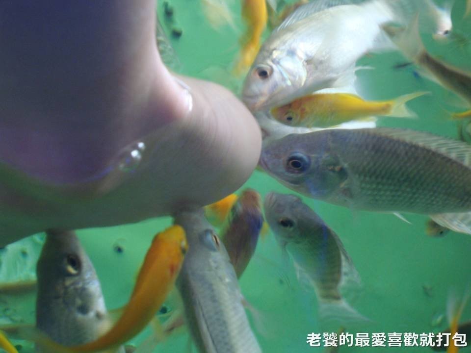投影片15