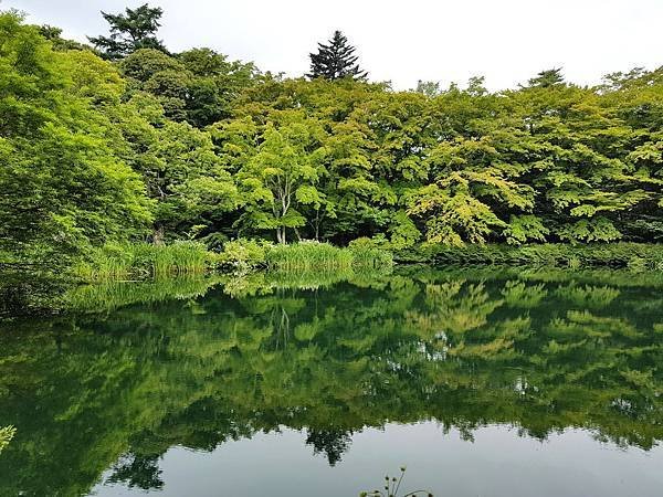 20160708_114456.jpg