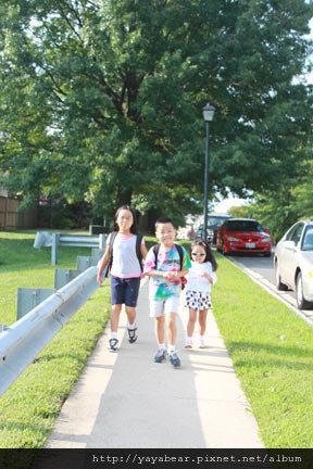 IMG_8178m.jpg