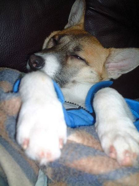 zzzZZZZZ