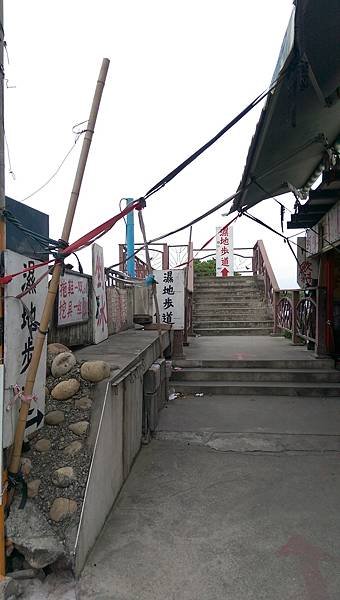 IMAG8809.jpg