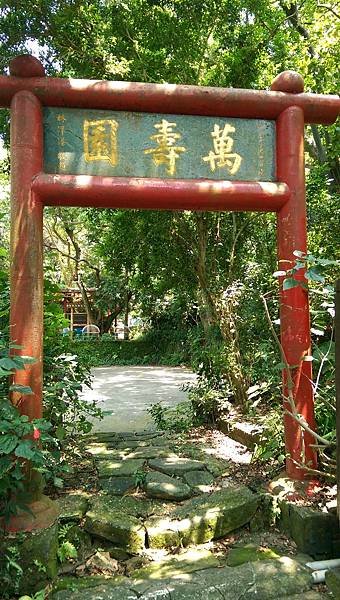 IMAG0965.jpg