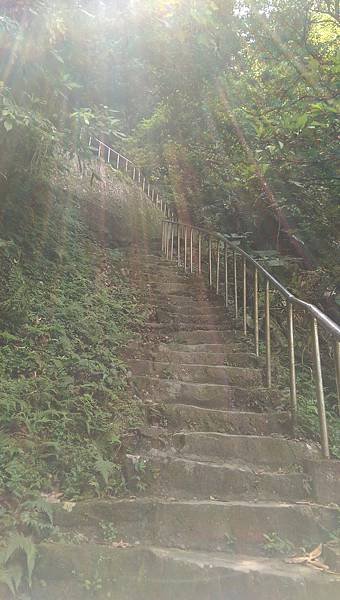 IMAG2357.jpg