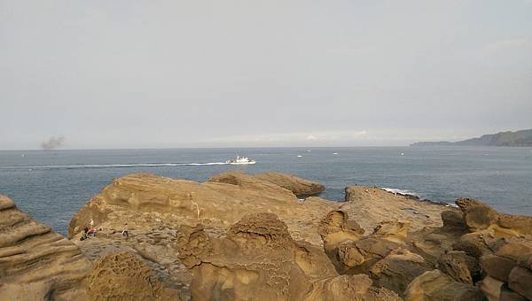 IMAG8388.jpg