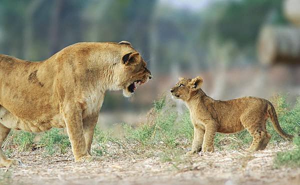 parent-child.jpg