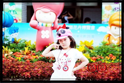 DSC_8477.JPG