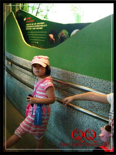 DSCF1161.JPG