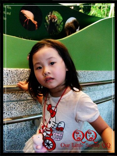 DSCF1162.JPG
