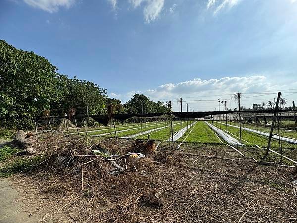 🔸里港近國道十號地勢平坦地型方正農地