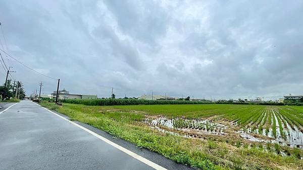 LINE_ALBUM_萬丹農地_240612_3.jpg