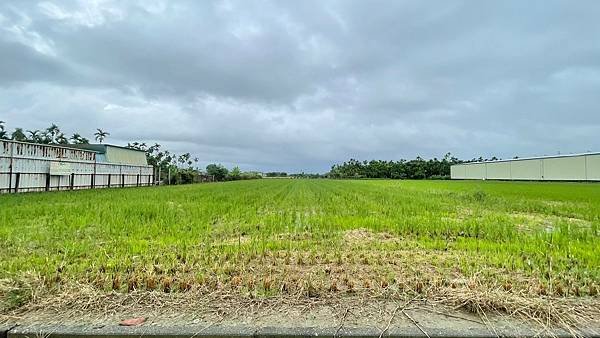 LINE_ALBUM_萬丹農地_240612_6.jpg