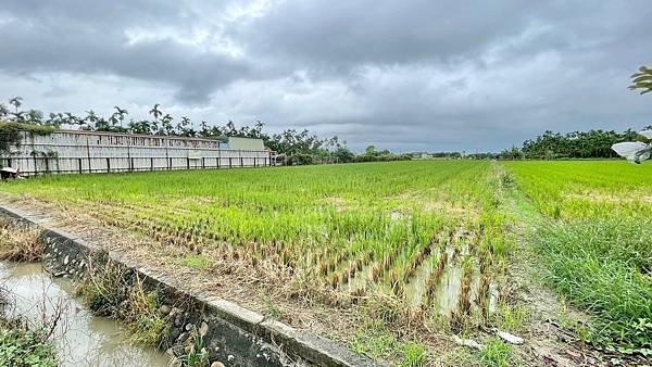 LINE_ALBUM_萬丹農地_240612_5.jpg