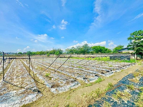 🔸近國１０！高雄美濃好進出千坪方正農地