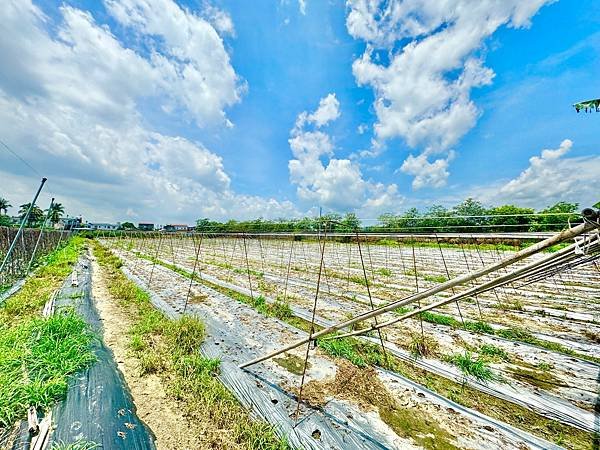 🔸近國１０！高雄美濃好進出千坪方正農地