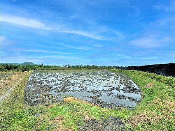 🔸馬亨亨大道*台東苗圃台東車站千坪原保地