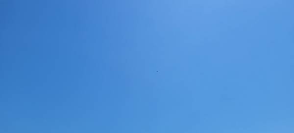 20220428_100722.jpg