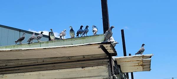 20220428_100851.jpg