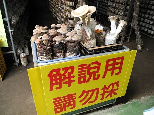 DSCN2086.JPG