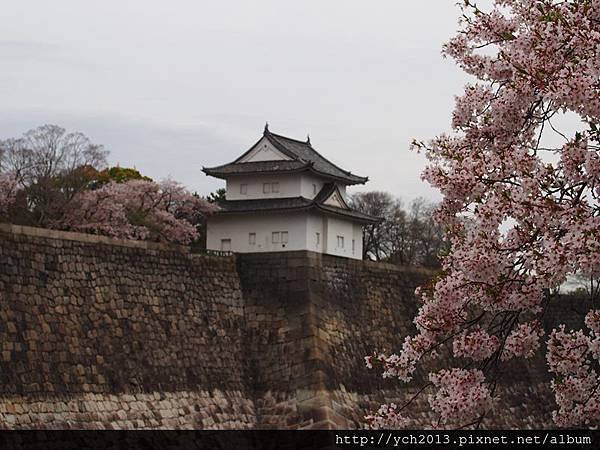 20130406大阪城 (1).JPG