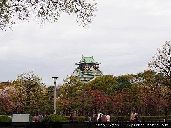 20130406大阪城 (5).JPG