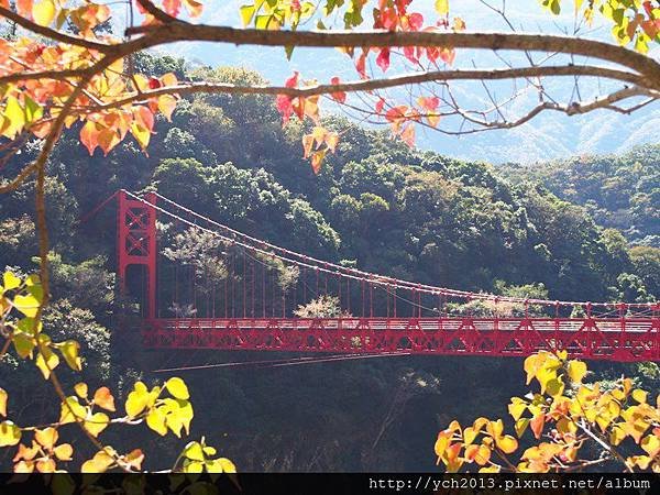 20131201北橫賞楓 (10).JPG