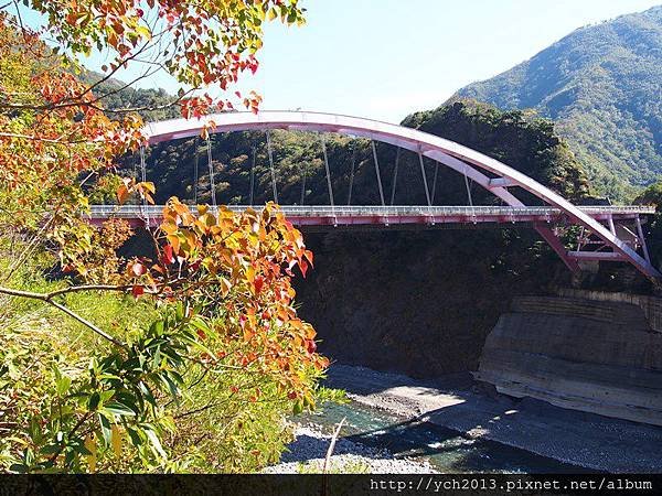 20131201北橫賞楓 (12).JPG