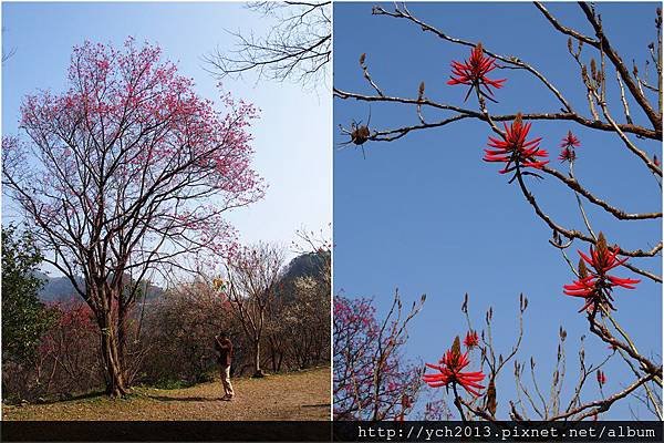 20140105石門水庫 (21).JPG