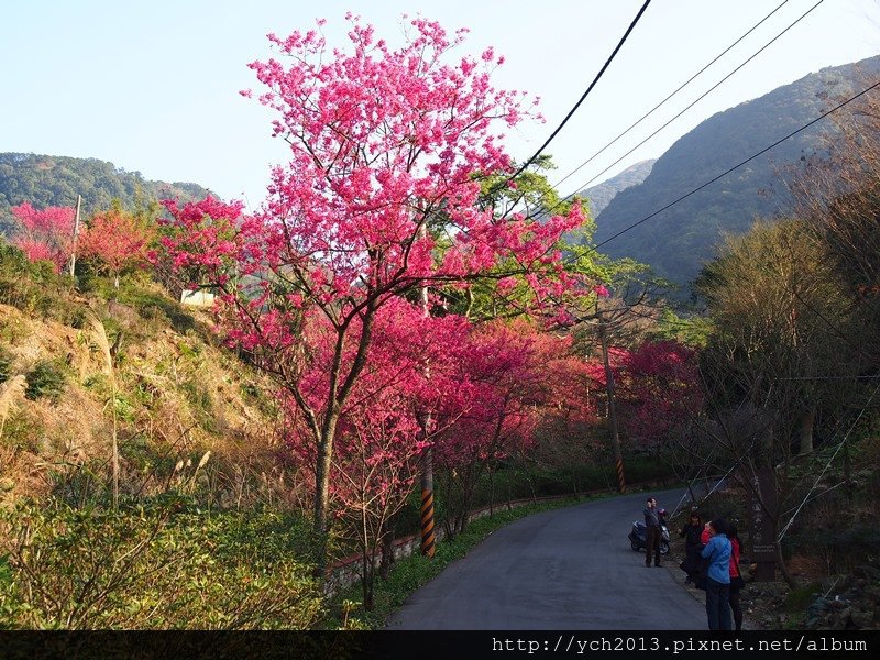 20140131楓樹湖 (4).JPG