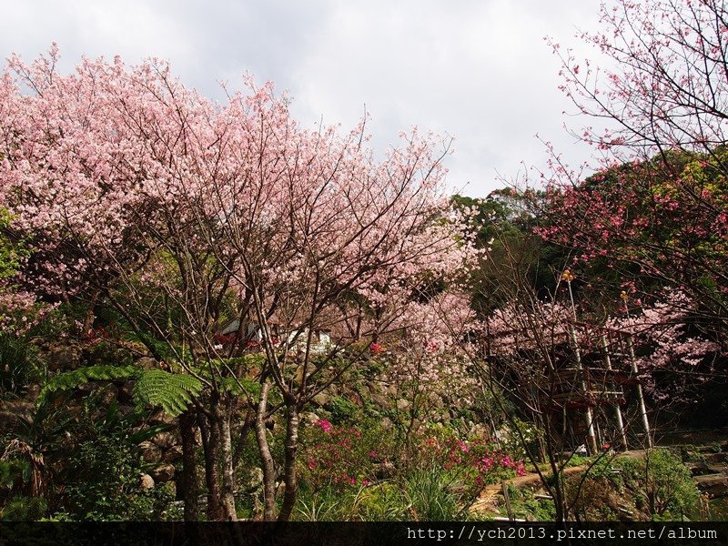 20140228三板橋 (5).JPG