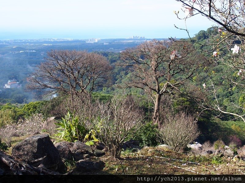 20140222木蓮園 (3).JPG