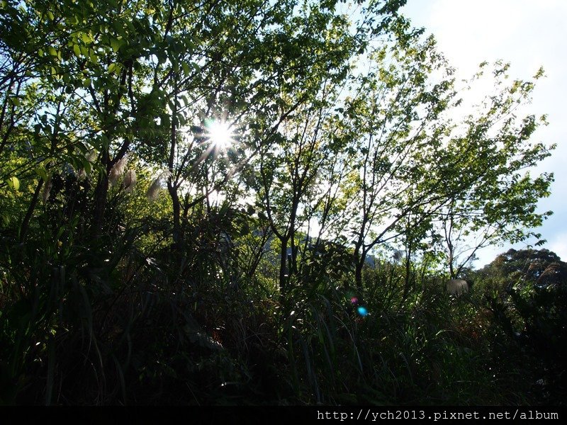 20140222木蓮園 (7).JPG
