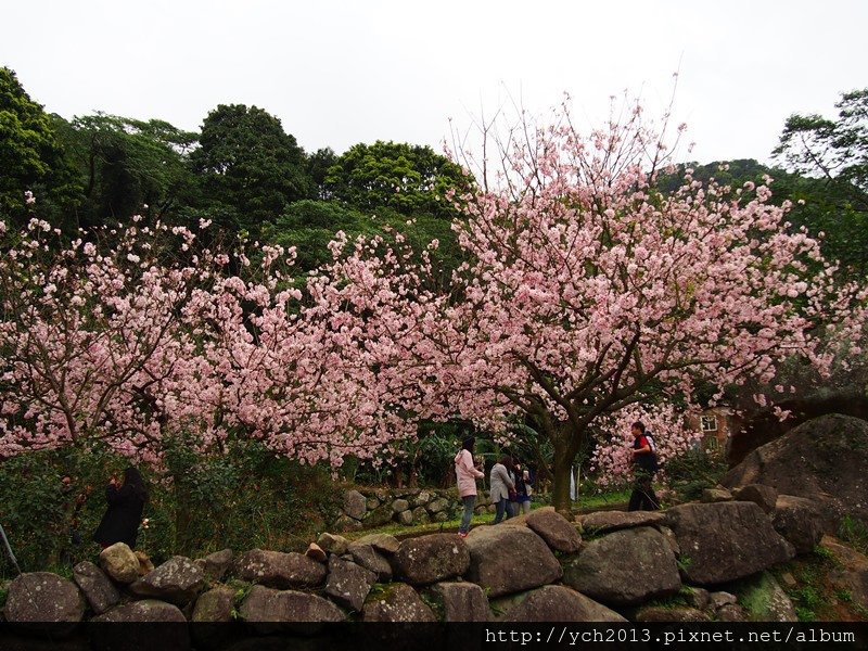 20140228楓樹湖 (14).JPG