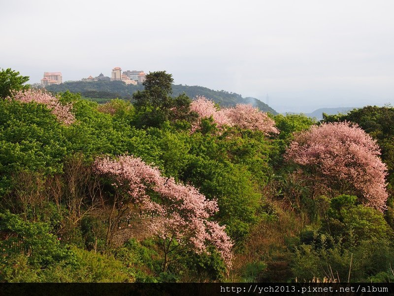 20140322十八份 (13).JPG