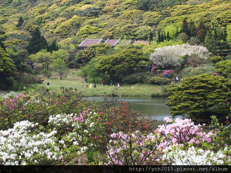 2014三月中大屯自然公園 (2).JPG