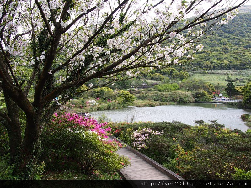 2014三月中大屯自然公園 (11).JPG