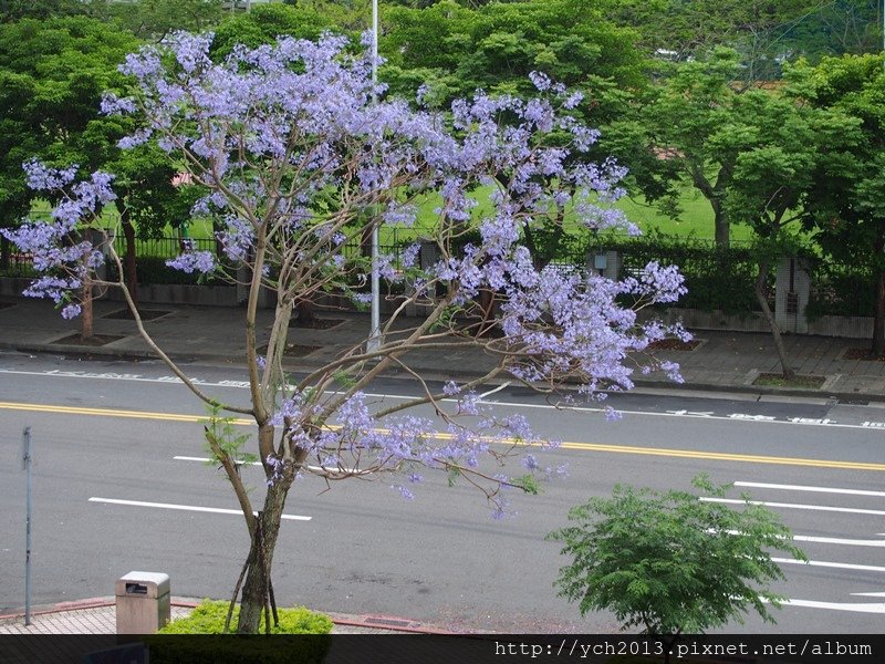 河濱到科教館 (11).JPG