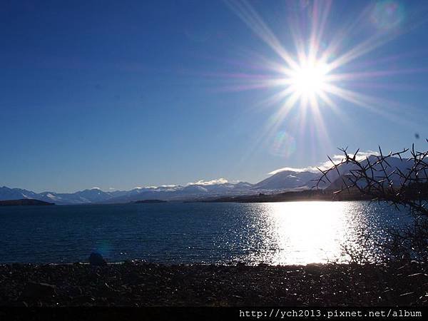 20140726Lake Tekapu (13).JPG