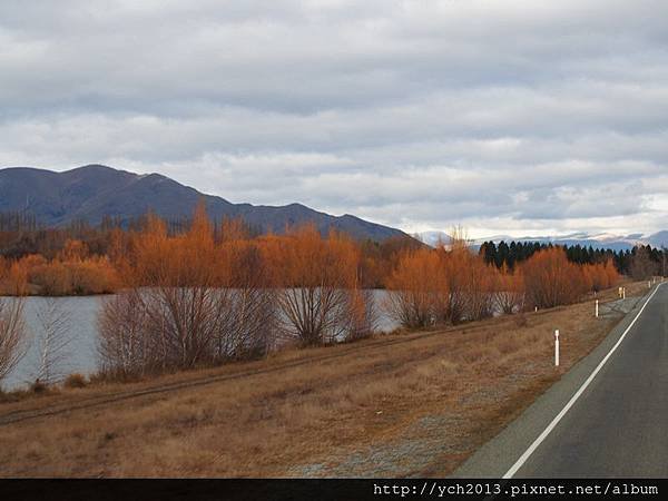 20140726Lake Pukaki (8).JPG