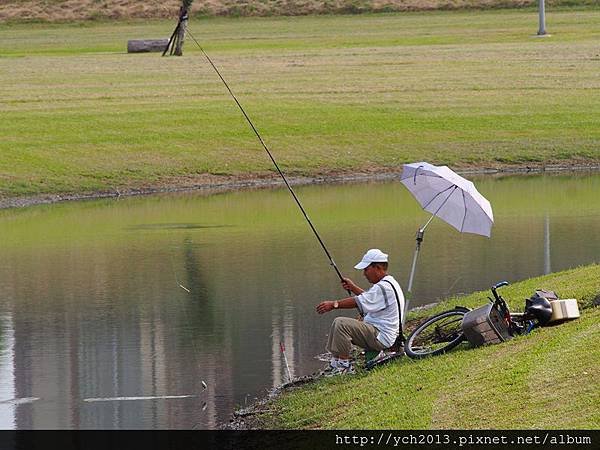 20140830疏洪道向日葵 (1).JPG