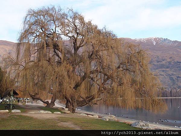 20140728Lake Wanaka (9).JPG