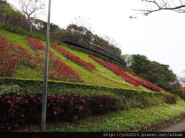 20150221五股水碓公園 (10).JPG