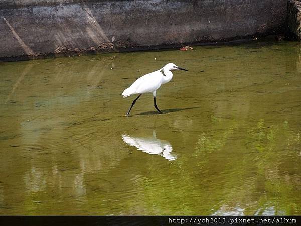 20150517雙溪公園(17).JPG