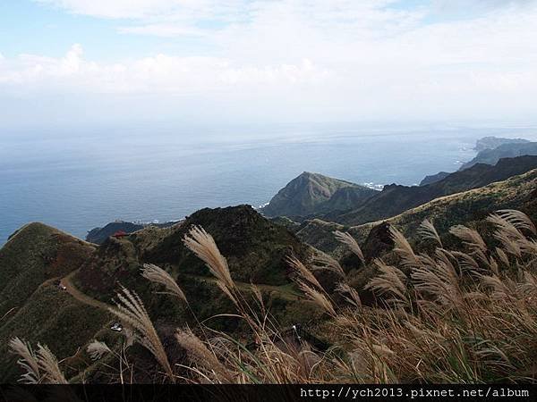 20151122無耳茶壺山(17).JPG